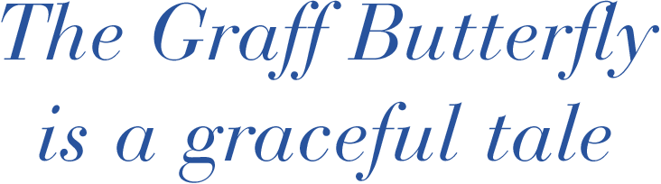 The Graff Butterfly is a graceful tale