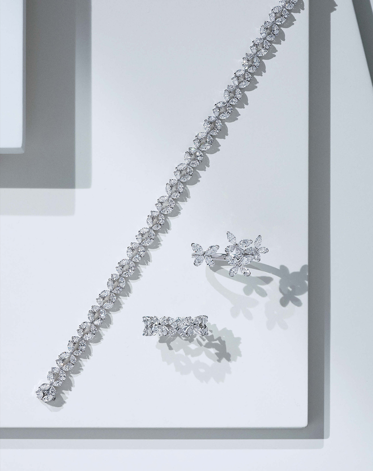 「グラフ」×大政 絢さん