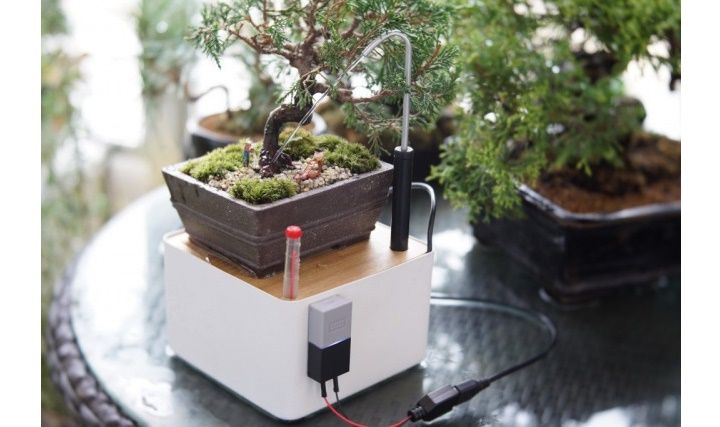 「植物と語りあえる水やり機」