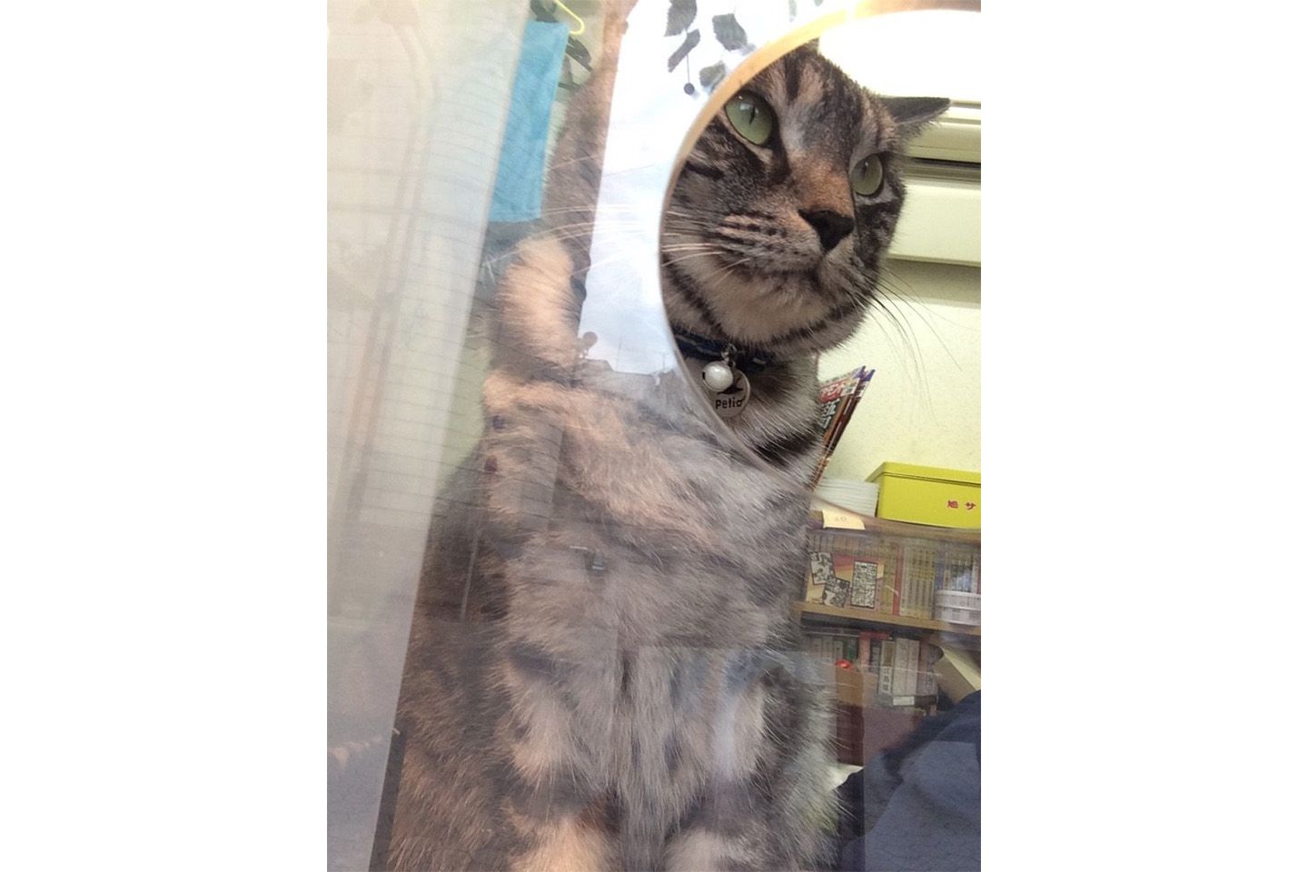 お客様をお迎えするニャ