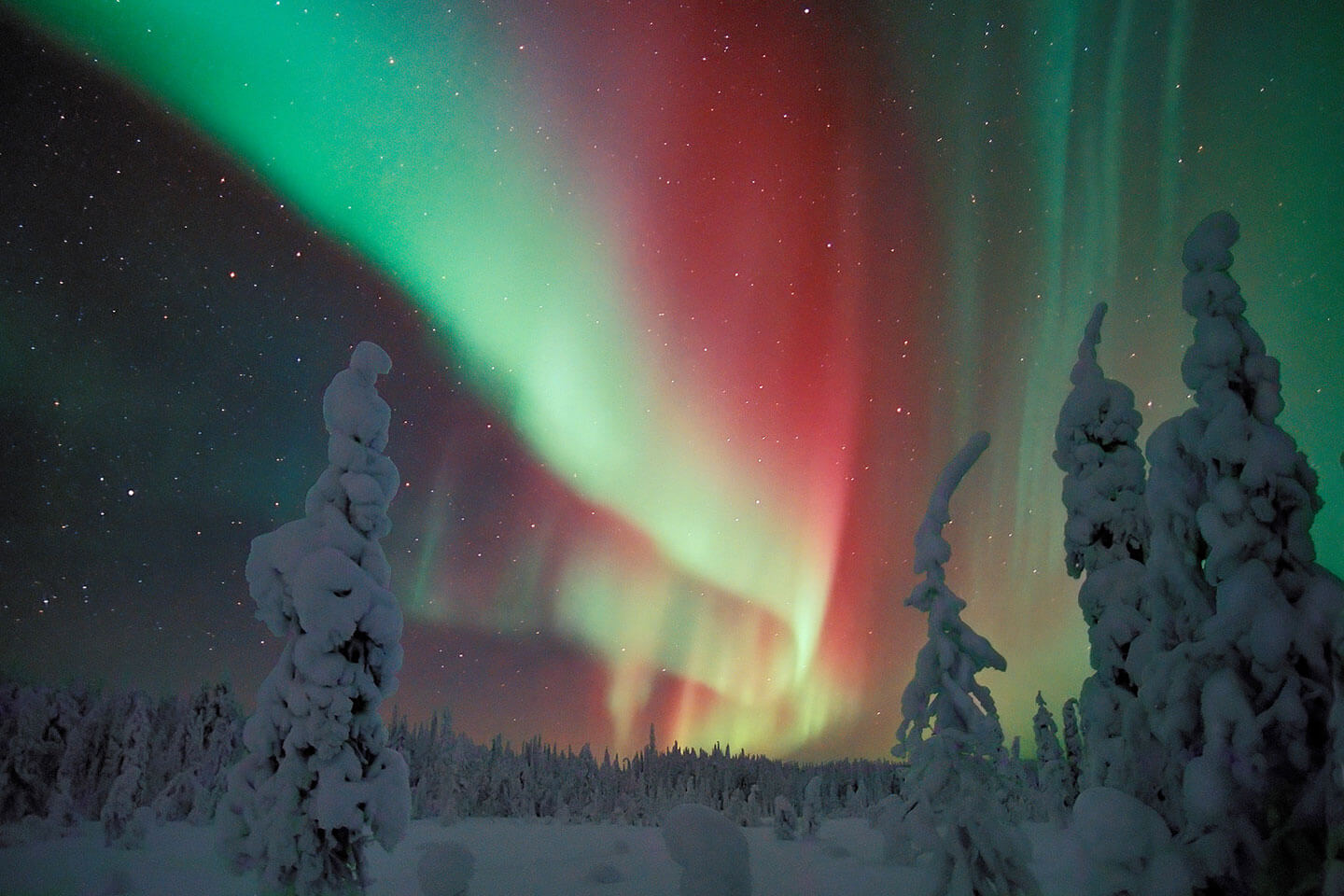 グリーンやブルーは上空100キロ、赤は250キロ、オーロラは高度によって色が変わります ©️Visit Finland-Jorma Luhtao Leuku