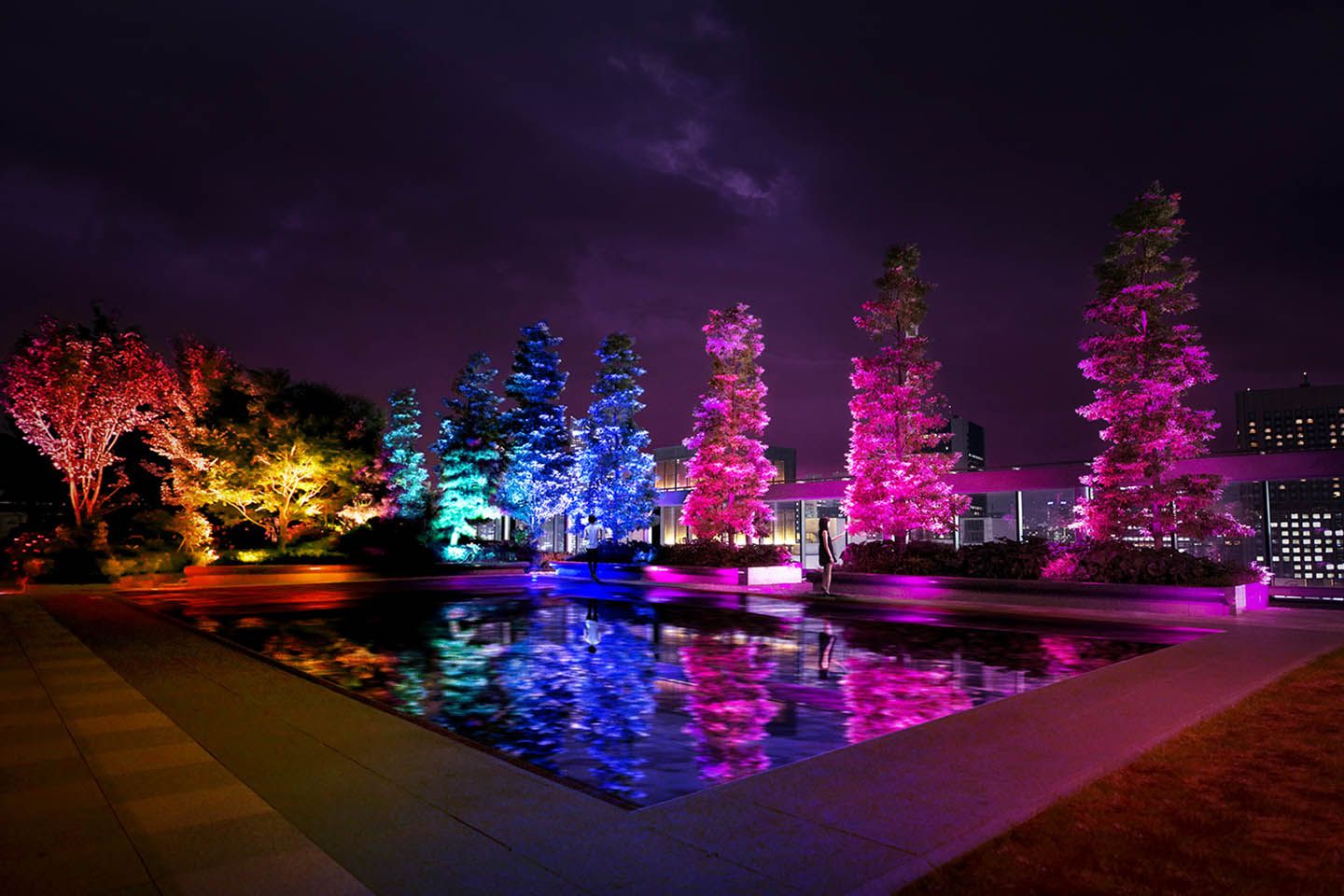 「呼応する木々 / Resonating Trees」©teamLab, 2014, Interactive Digitized Nature, Sound: Hideaki Takahashi