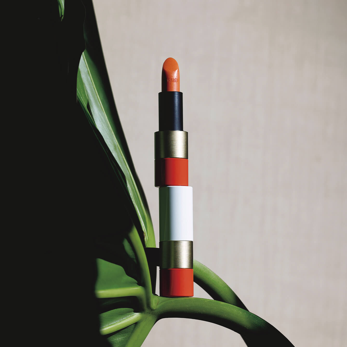 POPPY LIP SHINE