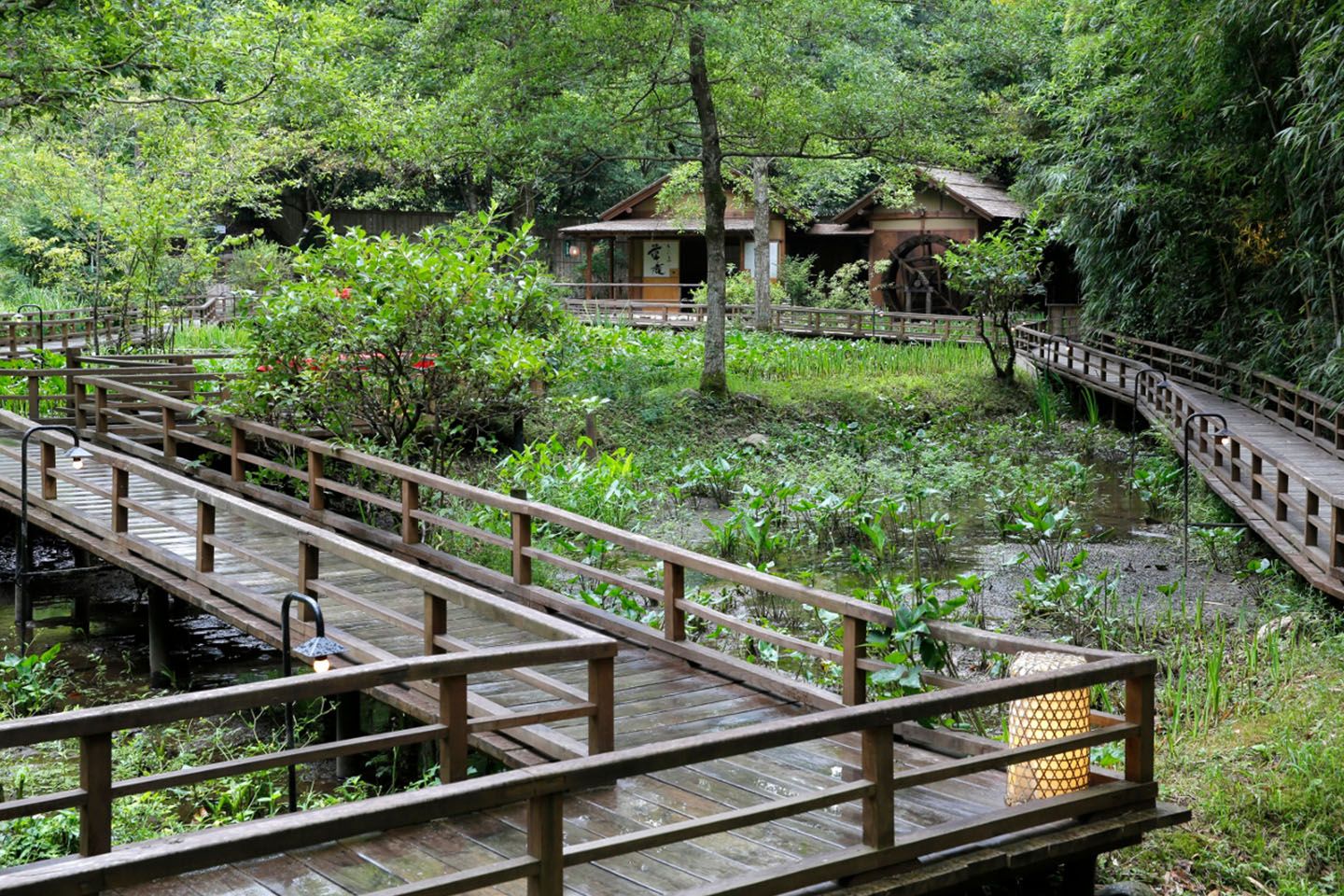 山野草園