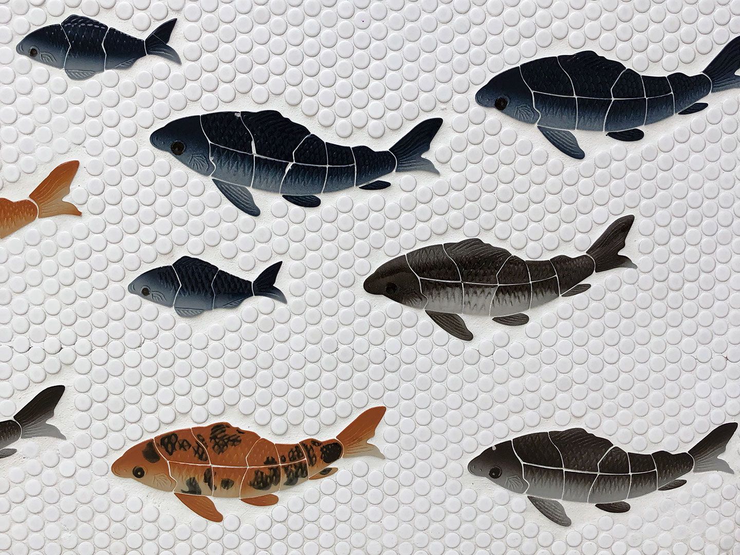 筆者のお気に入りはこちら。かつて、銭湯の湯船の内側で泳いでいた魚たち