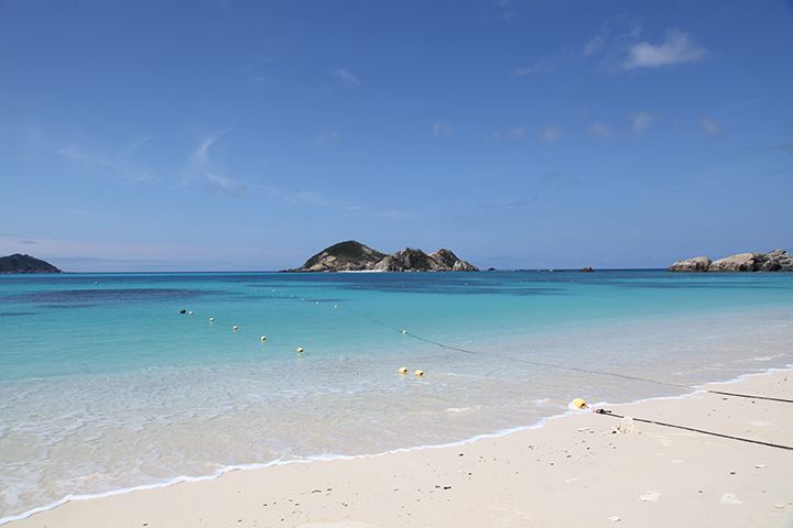 “慶良間ブルー”と呼ばれるクリアーで青い海では、サンゴや熱帯魚と出会うことも