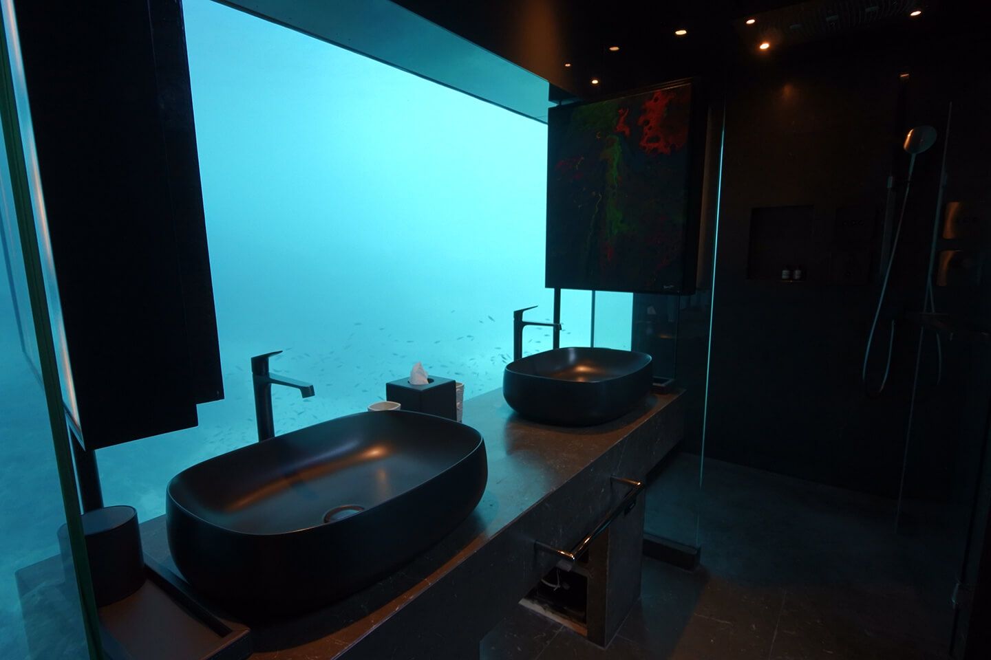水中を眺めることができる洗面所