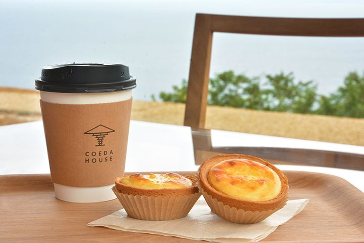 熱海産の柑橘「橙」を用いた「熱海タルトフロマージュ」