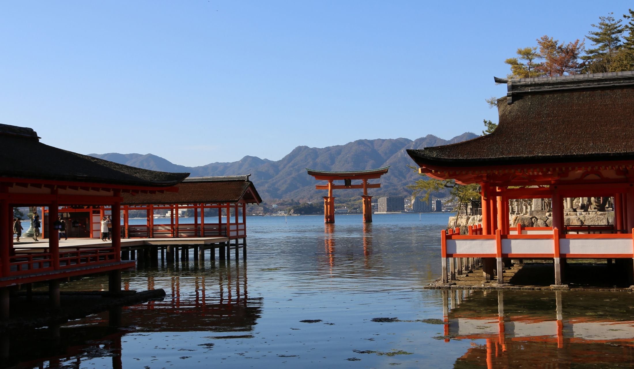 毛利元就が崇敬した厳島神社(広島県)