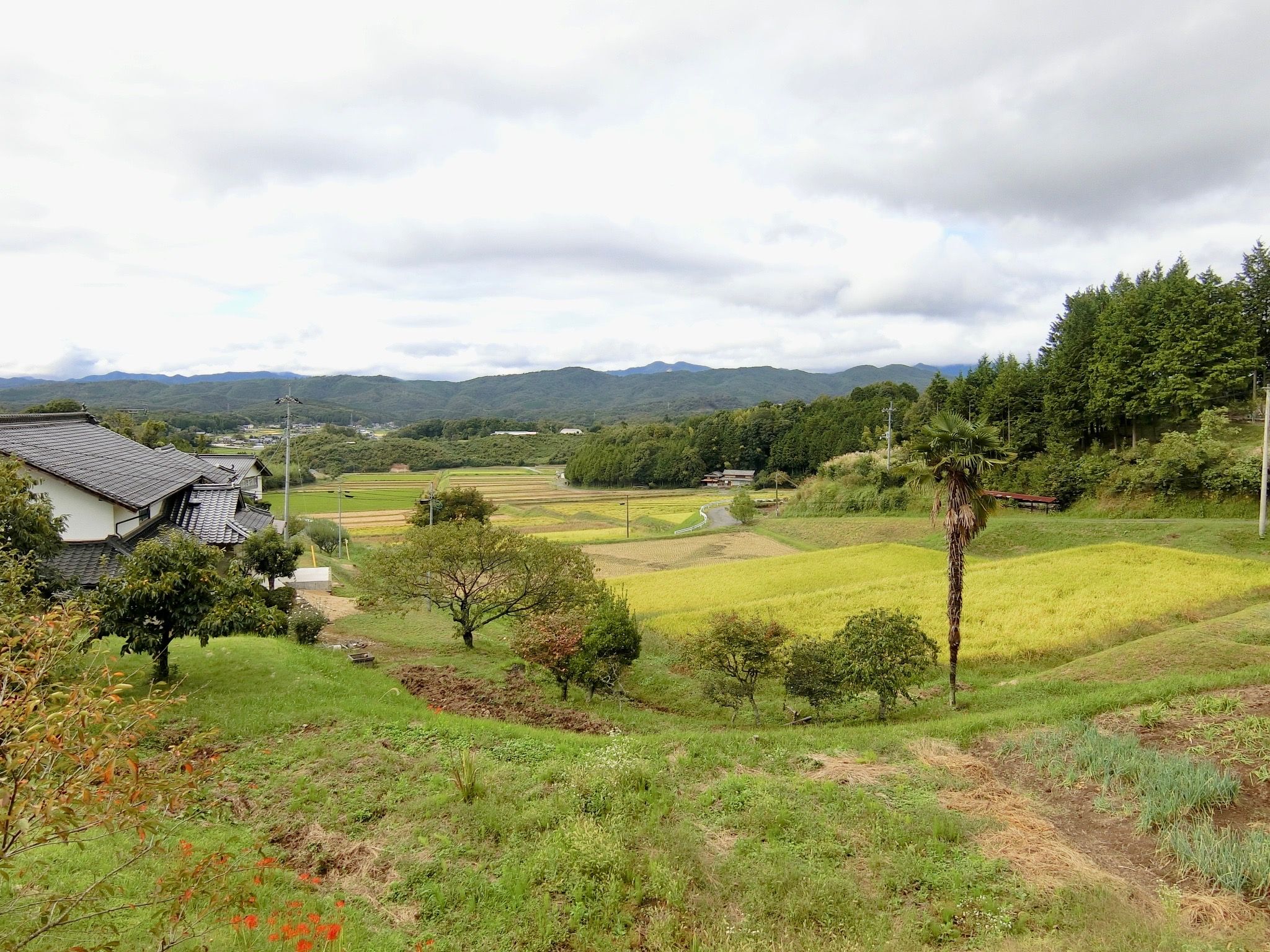 旅行_3,国内旅行_3,和文化_3