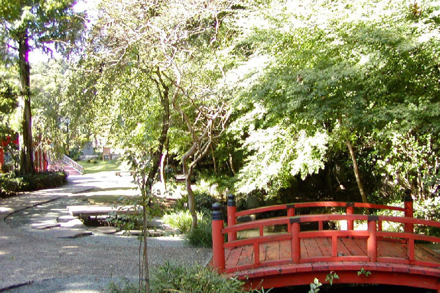 「日本の歴史公園100選」にも選ばれた万葉公園。万葉集で詠まれている多くの万葉植物が植栽されています