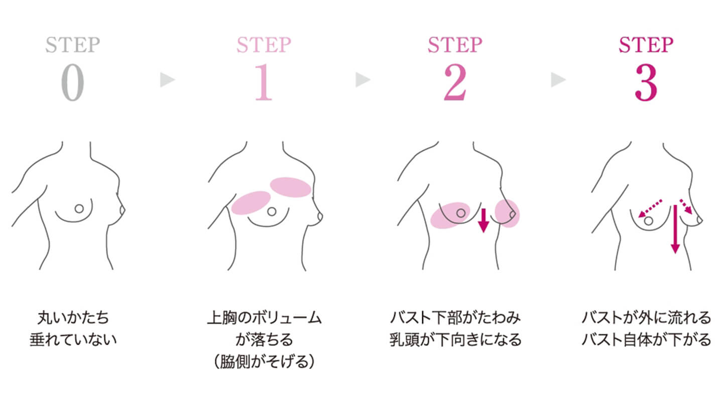 バスト変化のイラスト