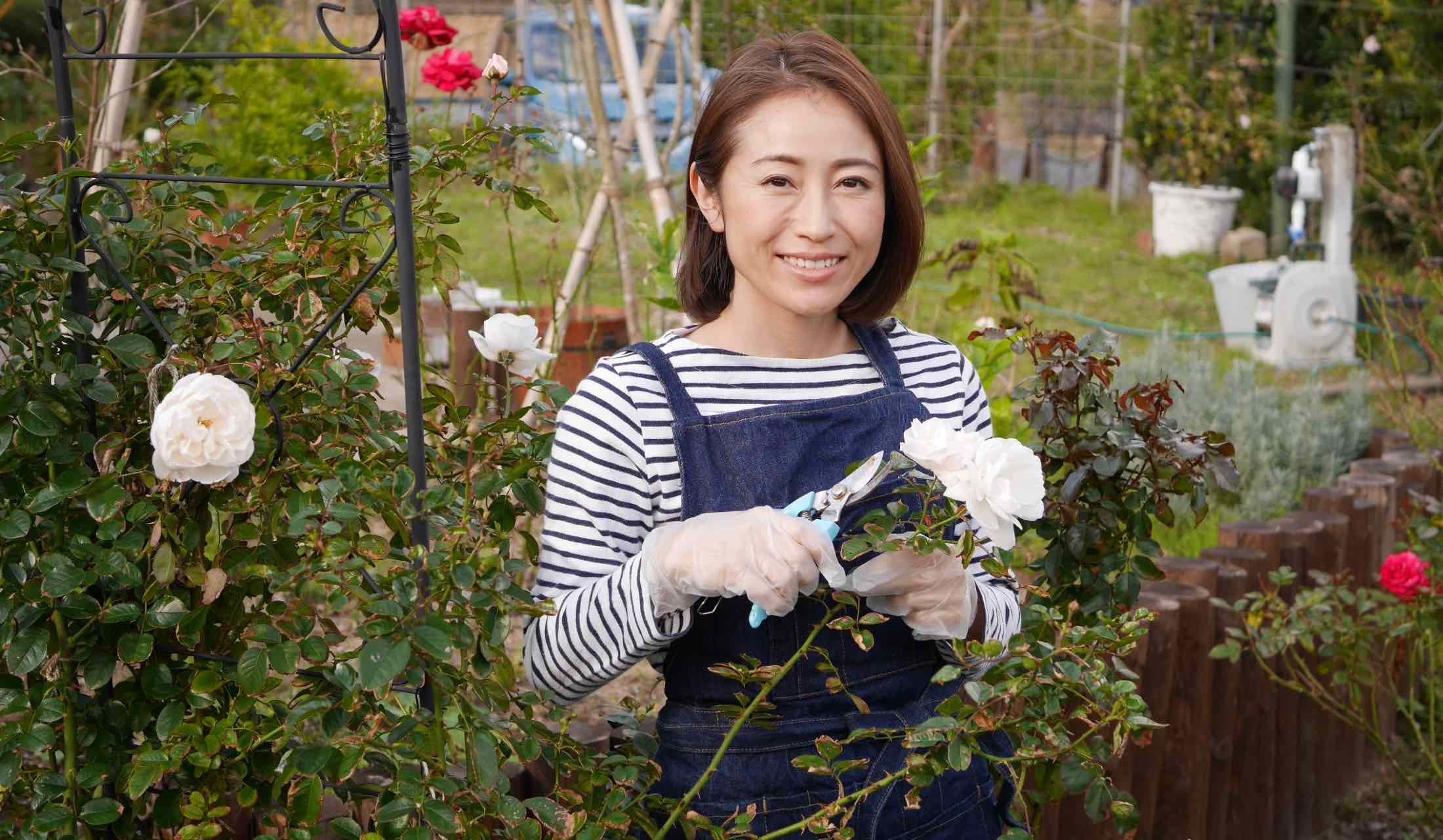 バラ園で作業をする堀江さん