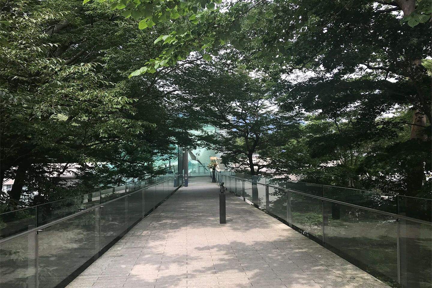 緑あふれる箱根ポーラ美術館のエントランス