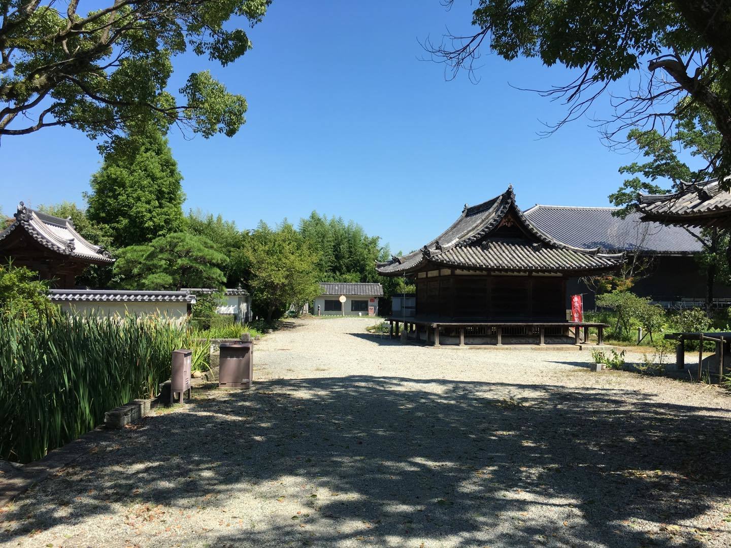 沙羅双樹や葦などが美しく生え誇る境内は広々としていて、過去にタイムスリップしたかのよう