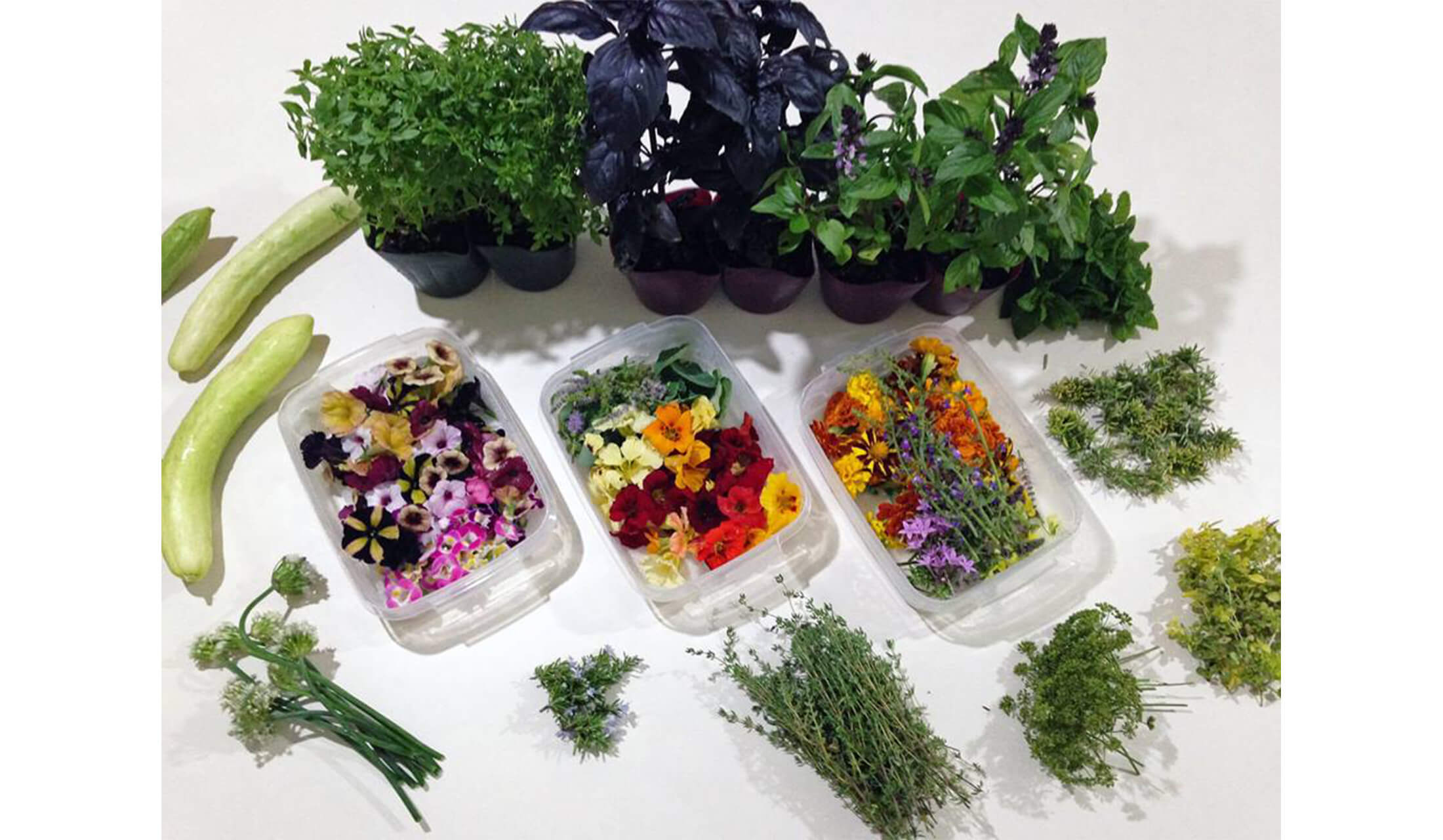 ■4:料理を引き立てる「飾り植物」の力を借りる