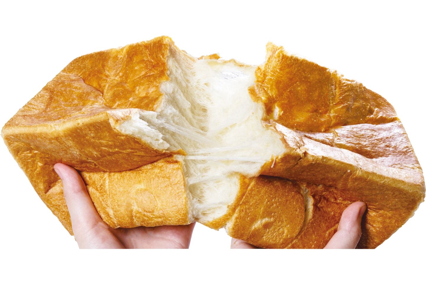 インパクト抜群なのはロゴだけじゃない、びっくりするほどふんわりとした食パン!