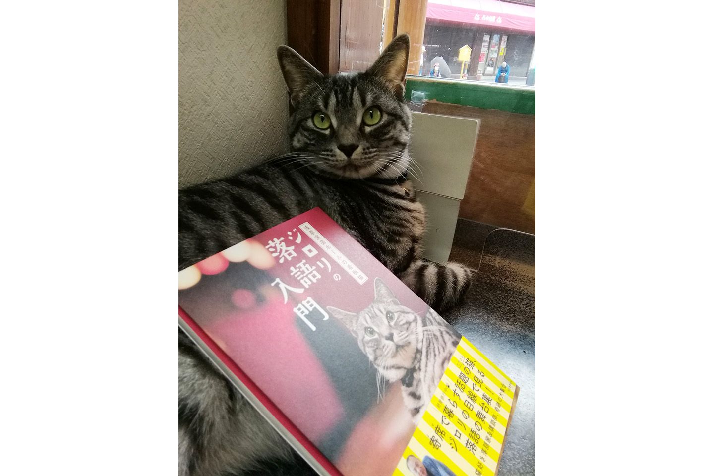 僕の本が出たのニャ!