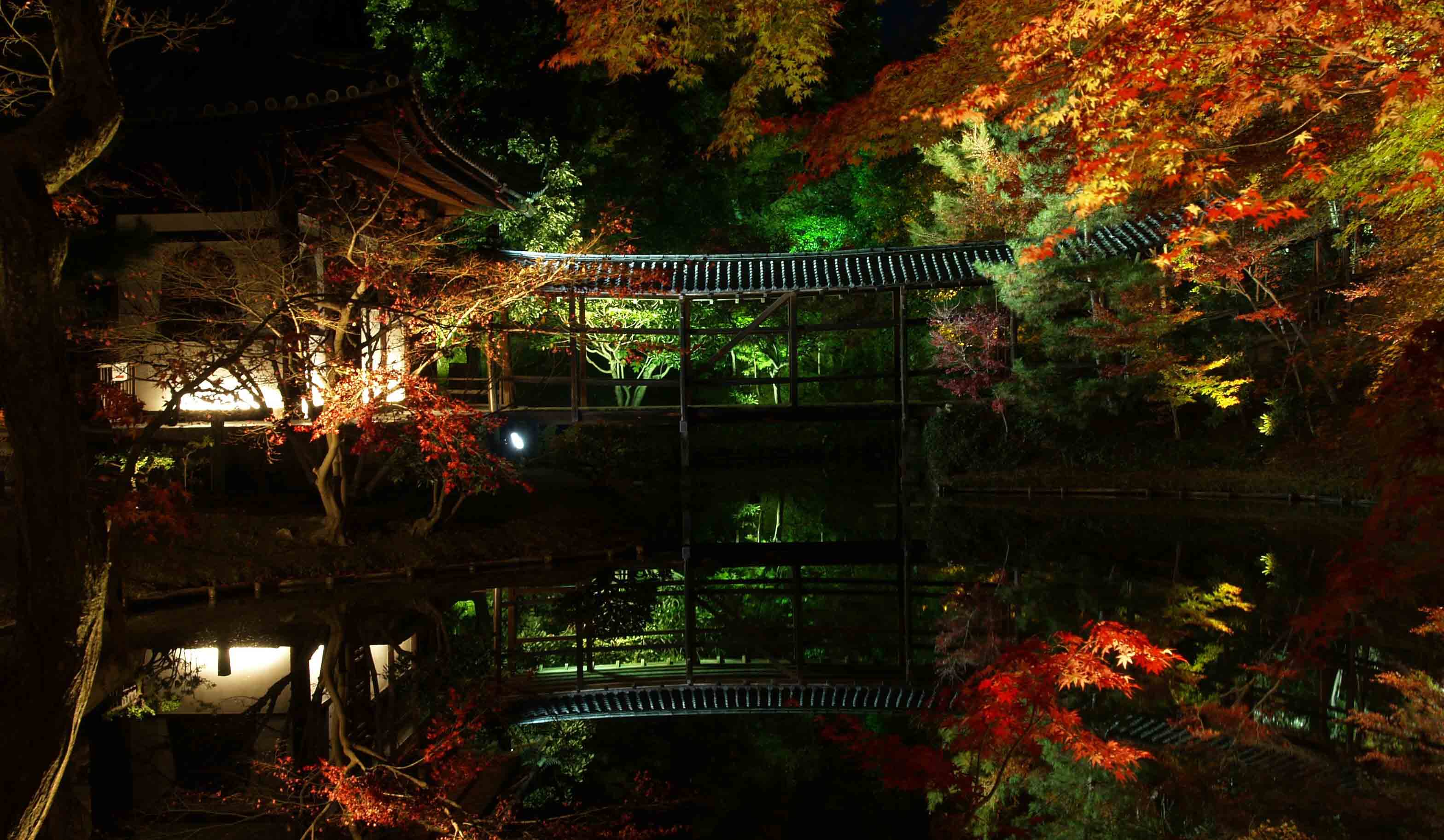 臥龍地の水鏡に映る、ライトアップされた紅葉は、高台寺の名物。この瞬間を独占しよう。写真提供:高台寺