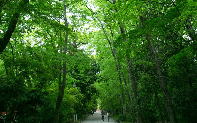 下鴨神社の境内にある糺の森