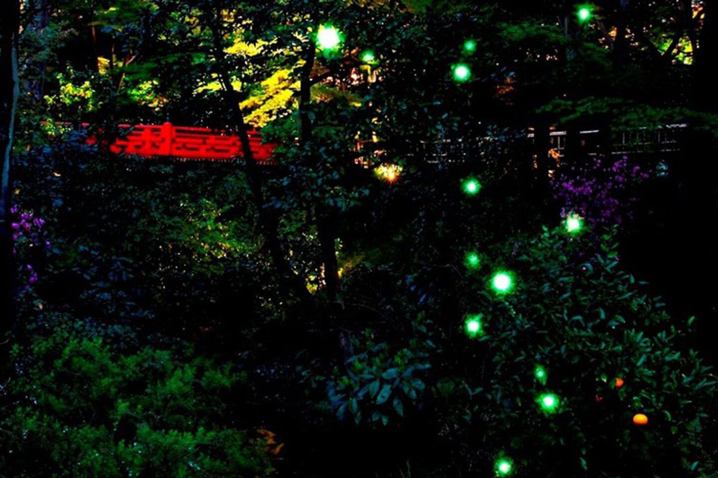 ホテル椿山荘東京では、2000年から専門家の指導を受けながら、ゲンジボタルが生息できる環境づくりに取り組んできたそう