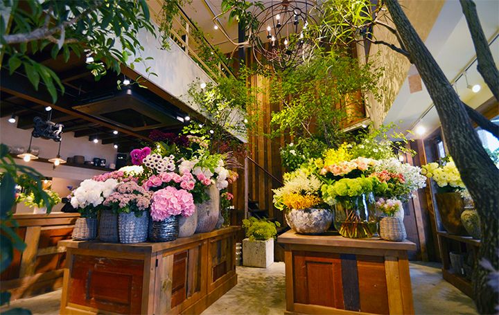 Fleur Universelle(フルール・ユニヴェセール)