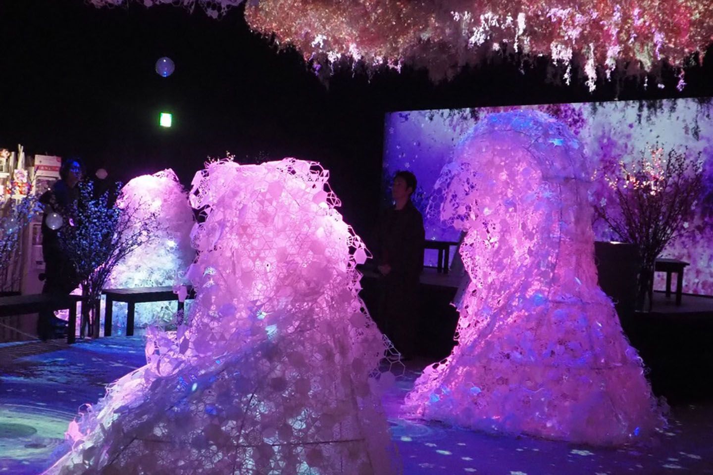 「大桜彩」のコンテンツが体験できるエリア。