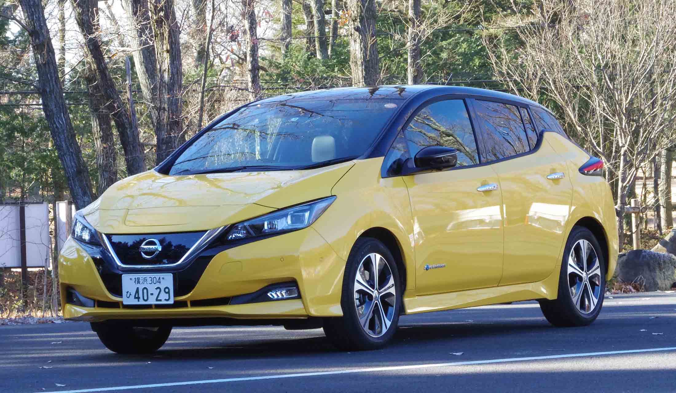 新型「リーフ」には、なかなか刺激的なボディカラーも用意されている。