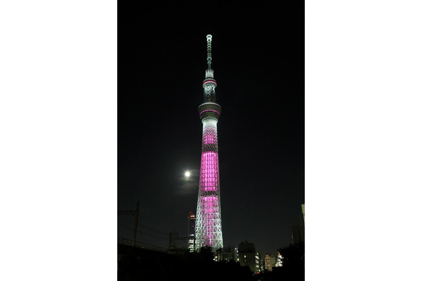 10月1日限定でのライトアップは見逃せません。