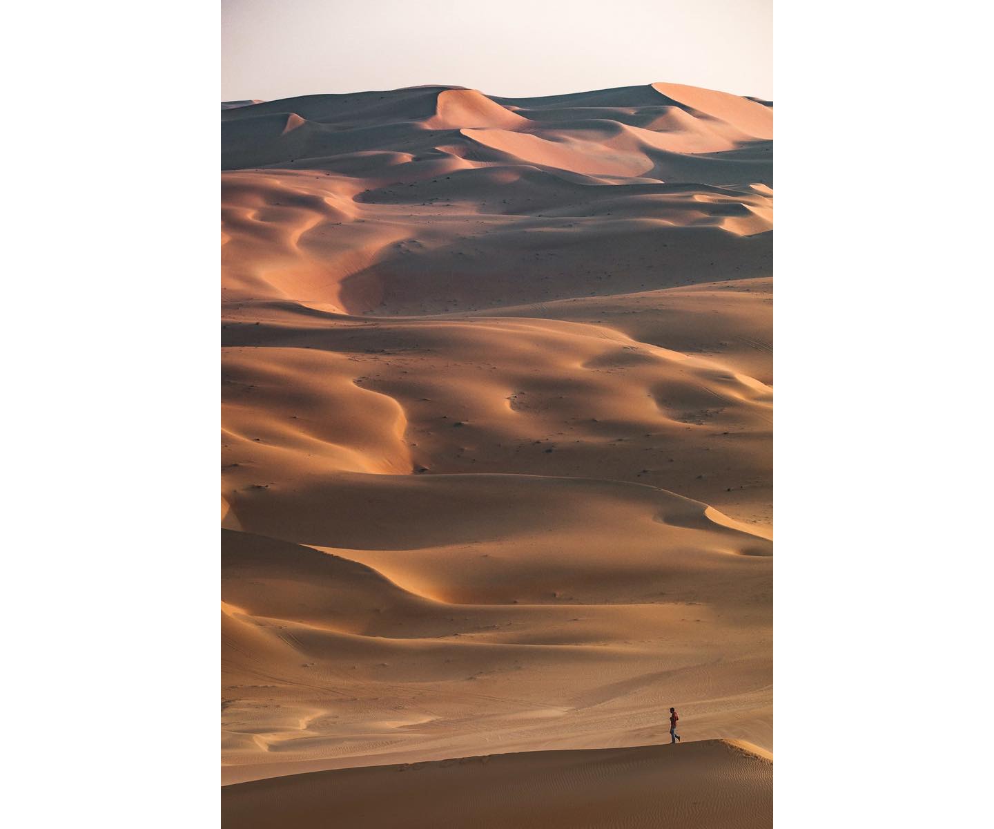 リワ砂漠|Liwa