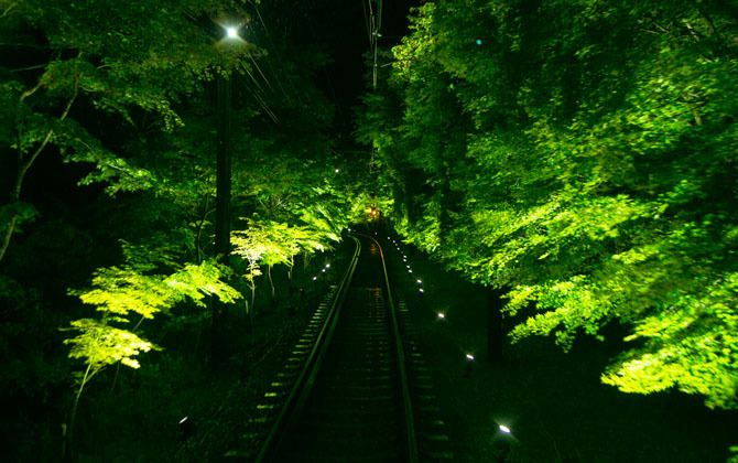 叡山電車、緑のトンネル