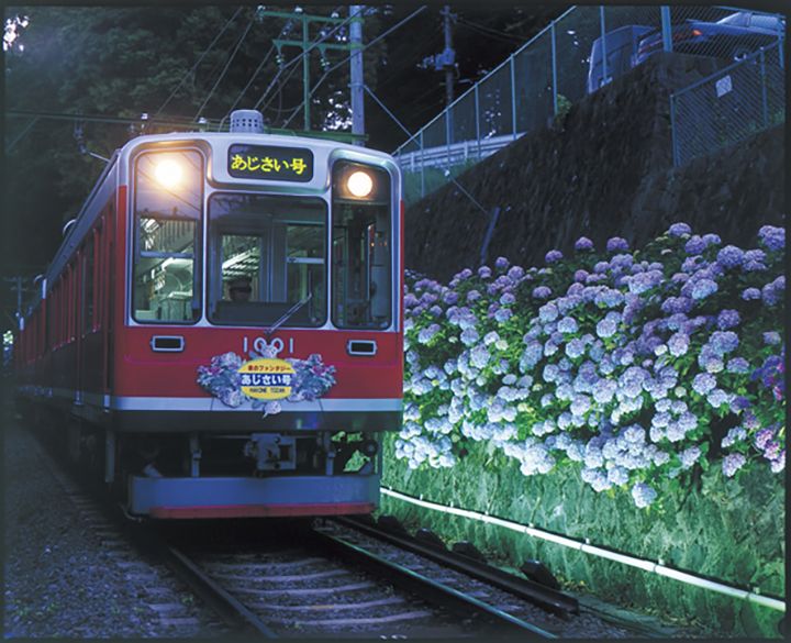 座席指定の特別列車「夜のあじさい号」