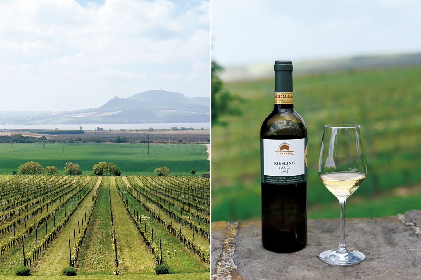 「SONBERK Winery」 Sonberk 393 691 27 Popice。左から/ソンベルク(=日の当たる丘)という地名どおりの丘陵地に広がるワイン畑、人気ナンバーワンの「リースリング VOC 2017」320チェココルナ。試飲は50ml 30チェココルナから。