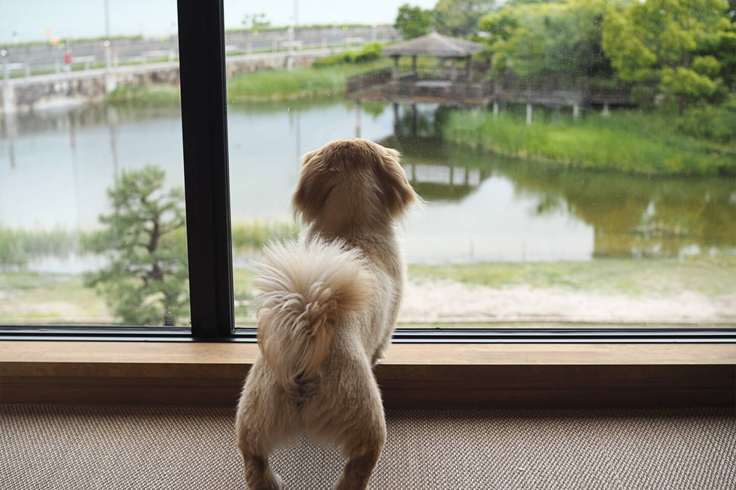 初めて見る琵琶湖にうっとり