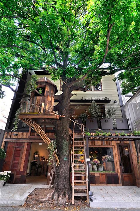Les Grands Arbres(レ・グラン・ザルブル)(港区南麻布)