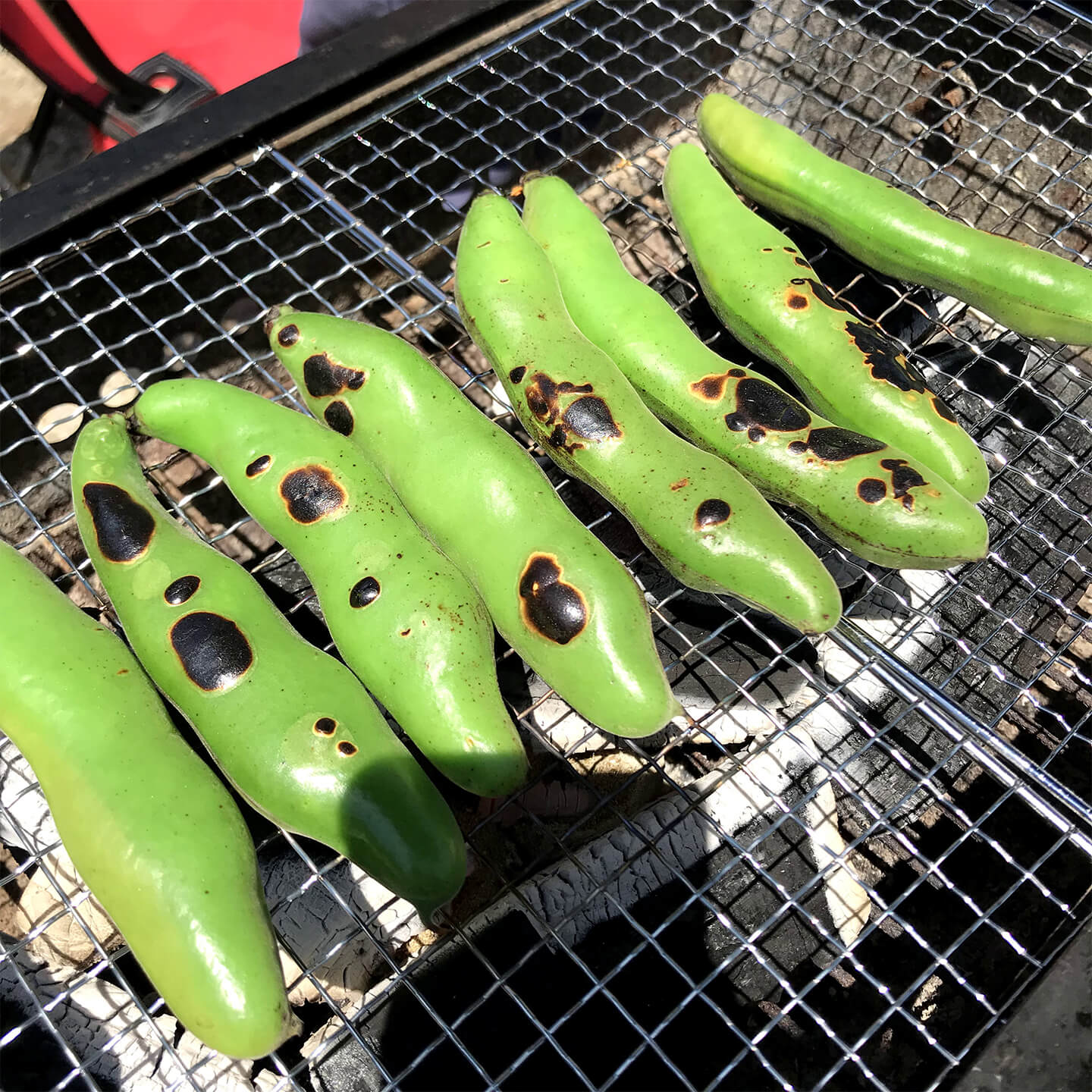 そら豆を網で焼く様子