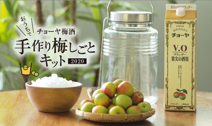 「まろやかな梅酒」「さわやかな梅シロップ」が作れるキットが「梅といえば」のチョーヤより登場