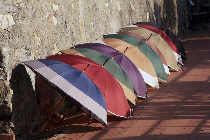 選ぶなら迷わず高級傘を。日本製や海外ブランドのおすすめから高級ビニール傘まで | Precious.jp（プレシャス）