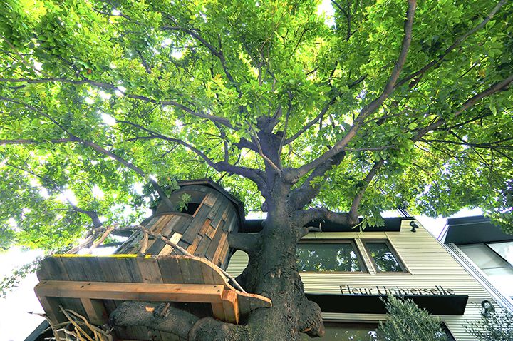 Les Grands Arbres(レ・グラン・ザルブル)(港区南麻布)