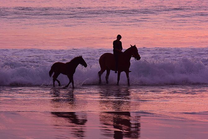 インドネシアのスンバ島にあるニヒ・スンバ(NIHI SUMBA)では希少なスンバ馬の乗馬体験も
