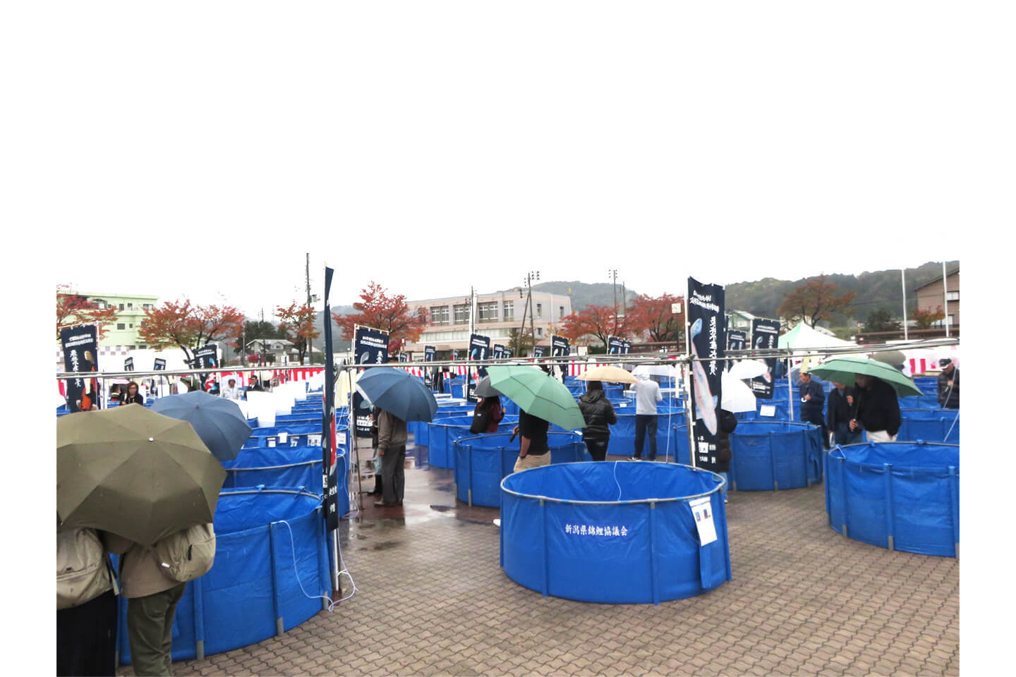 あいにくの雨模様にも関わらず、1300人を超える来場者があった品評会