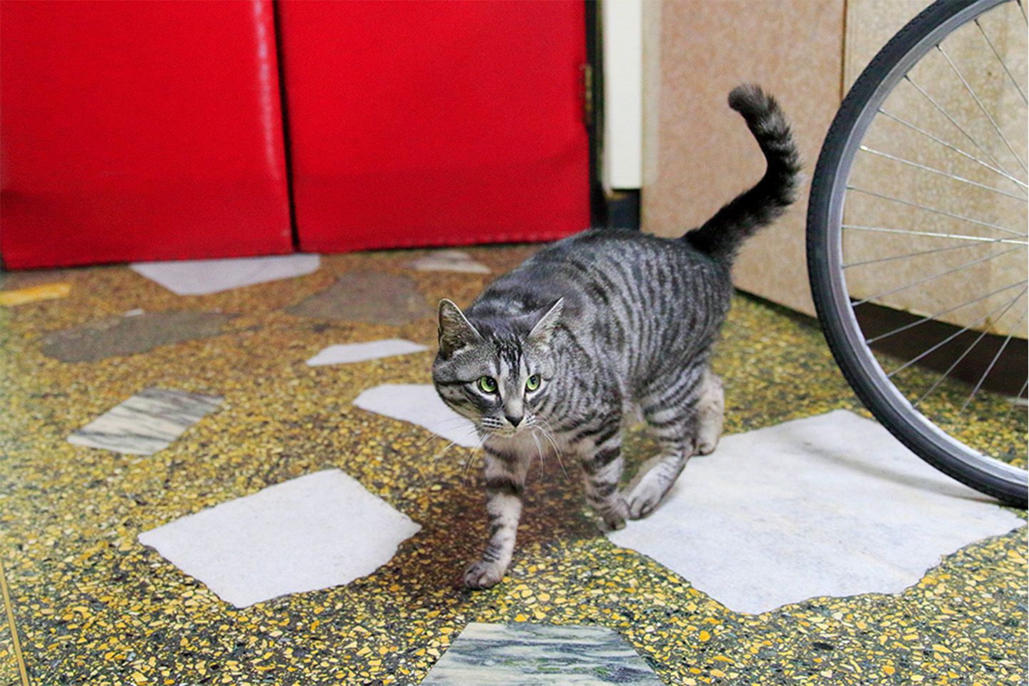 捕まえた獲物は、テケツ(切符売り場)に届けるニャ