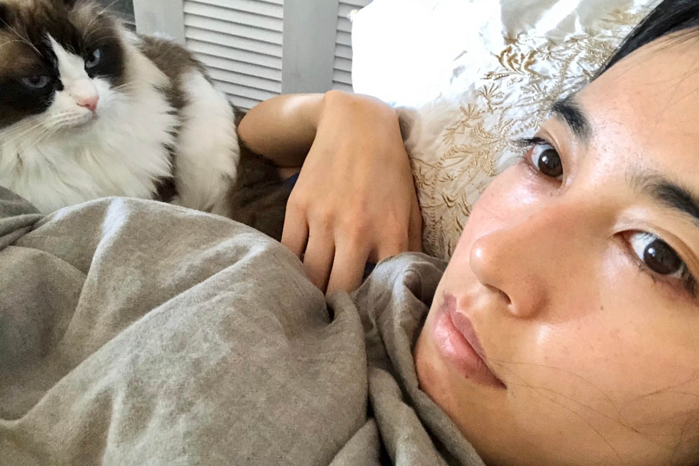ペット_2,stayathome_2,猫_2