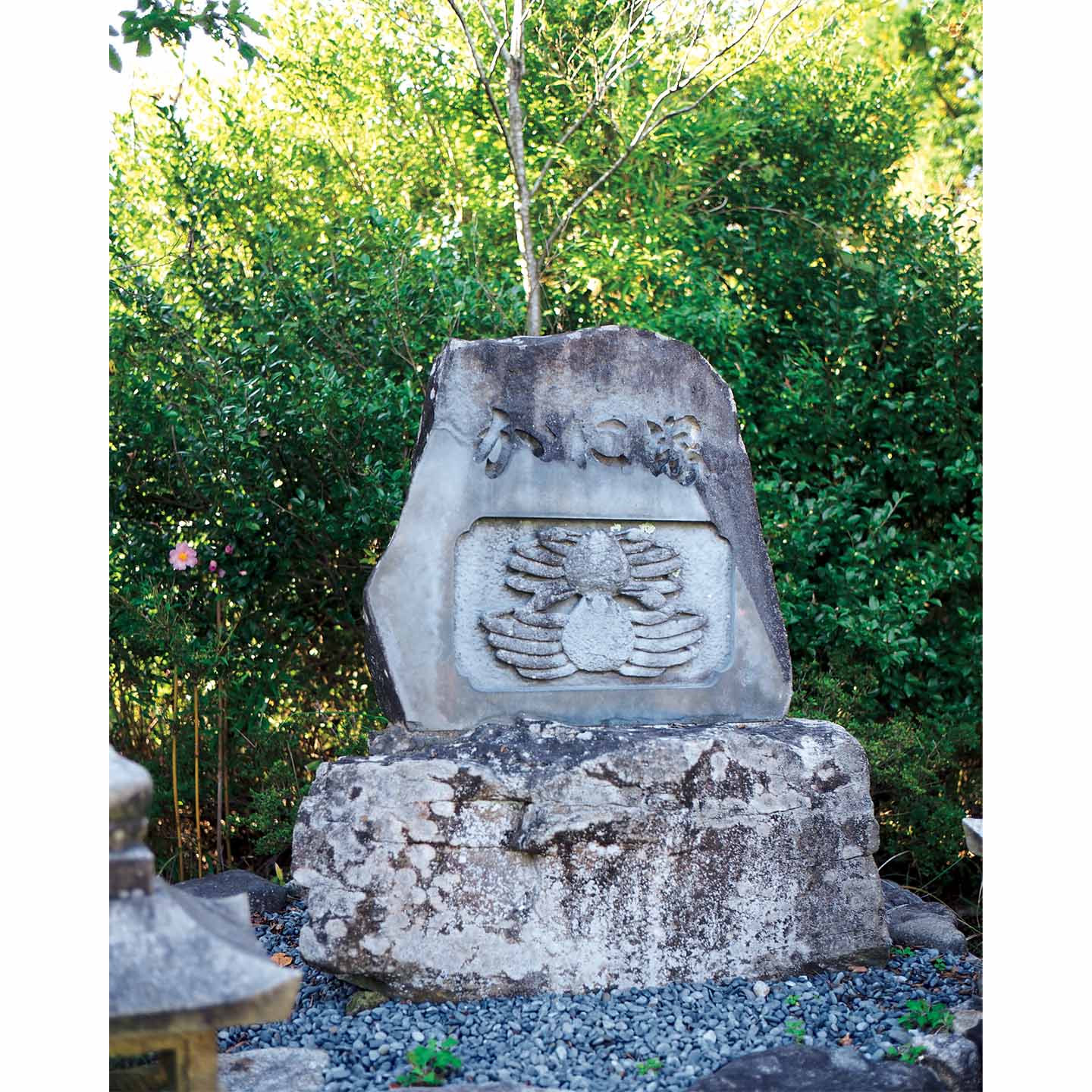 国内旅行_11,旅行,和文化_6