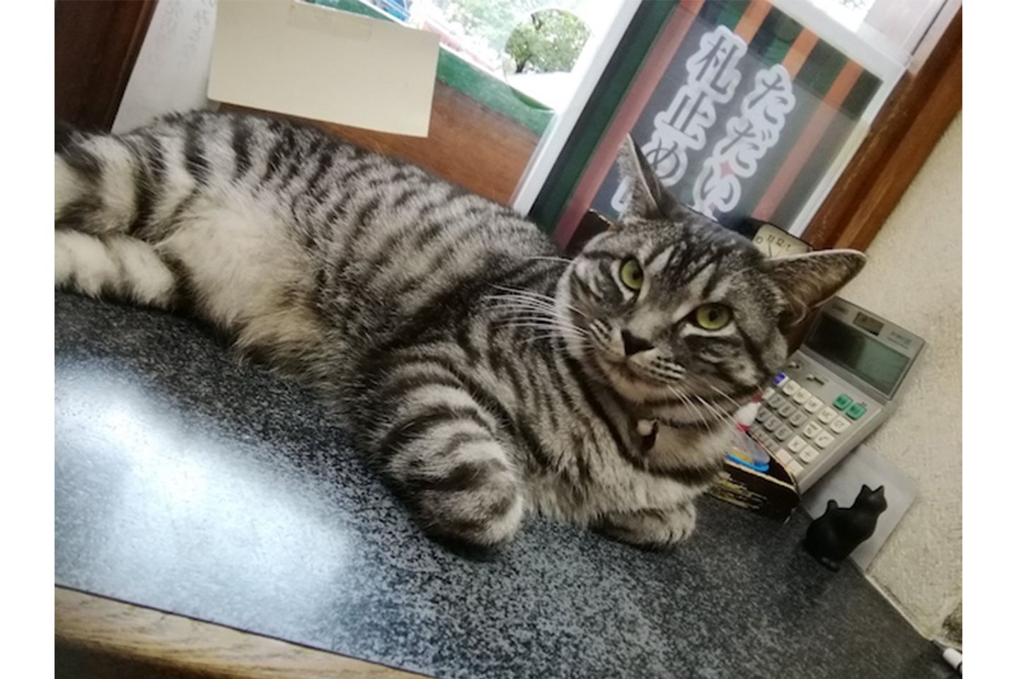 カウンターの上のジロリくん