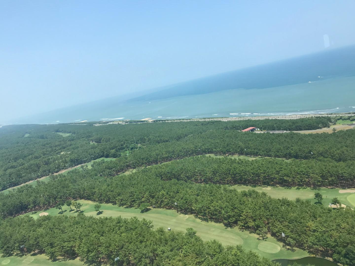 窓の外に広がる圧巻の景色。青い海と緑の黒松林のコントラストが美しい。