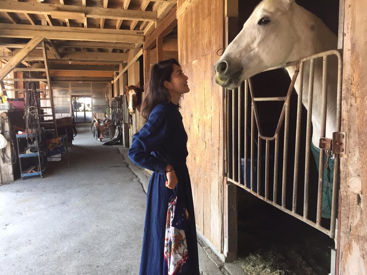 馬と触れ合う白澤さん