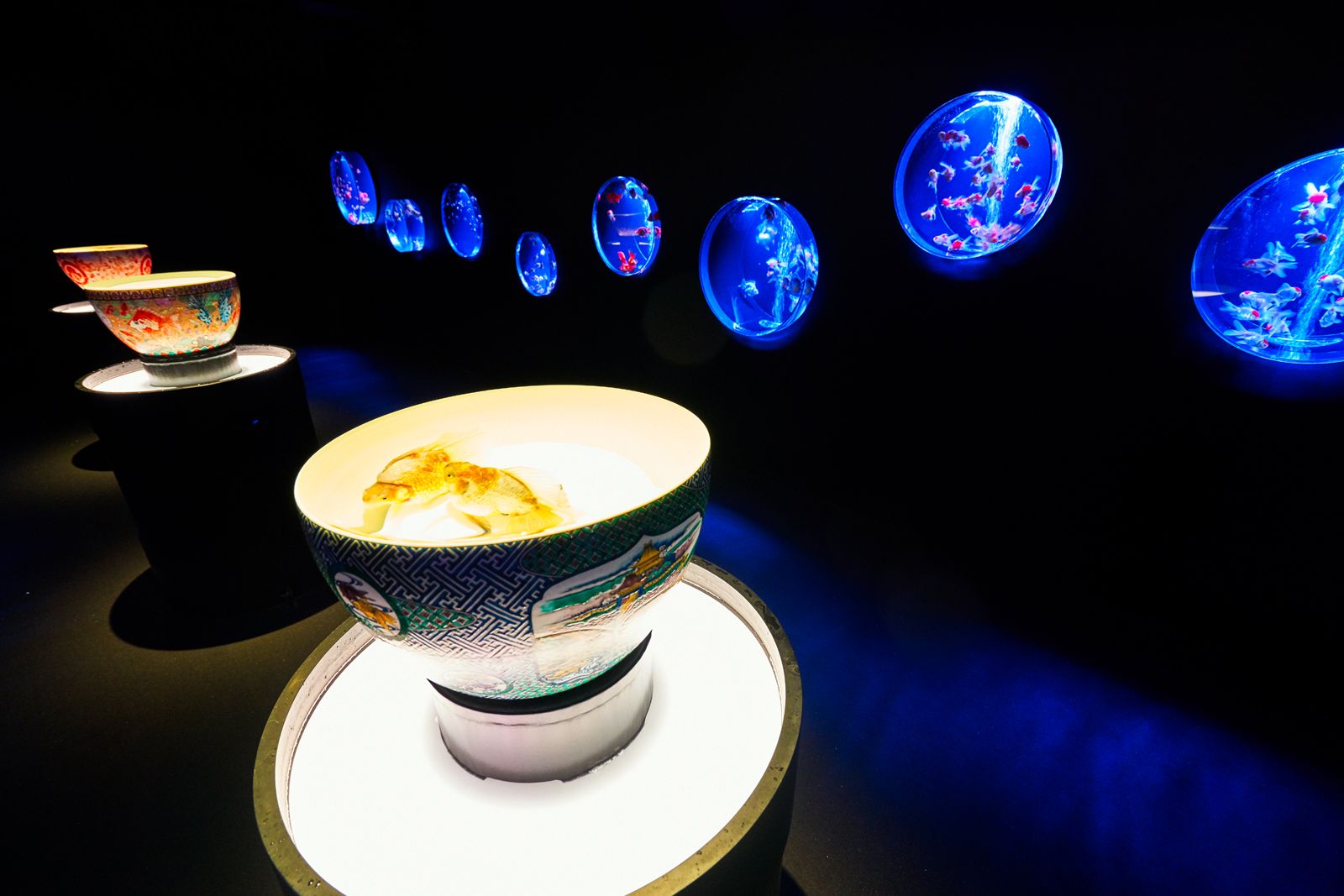 こちらは「九谷金魚品評&金魚コレクション」。