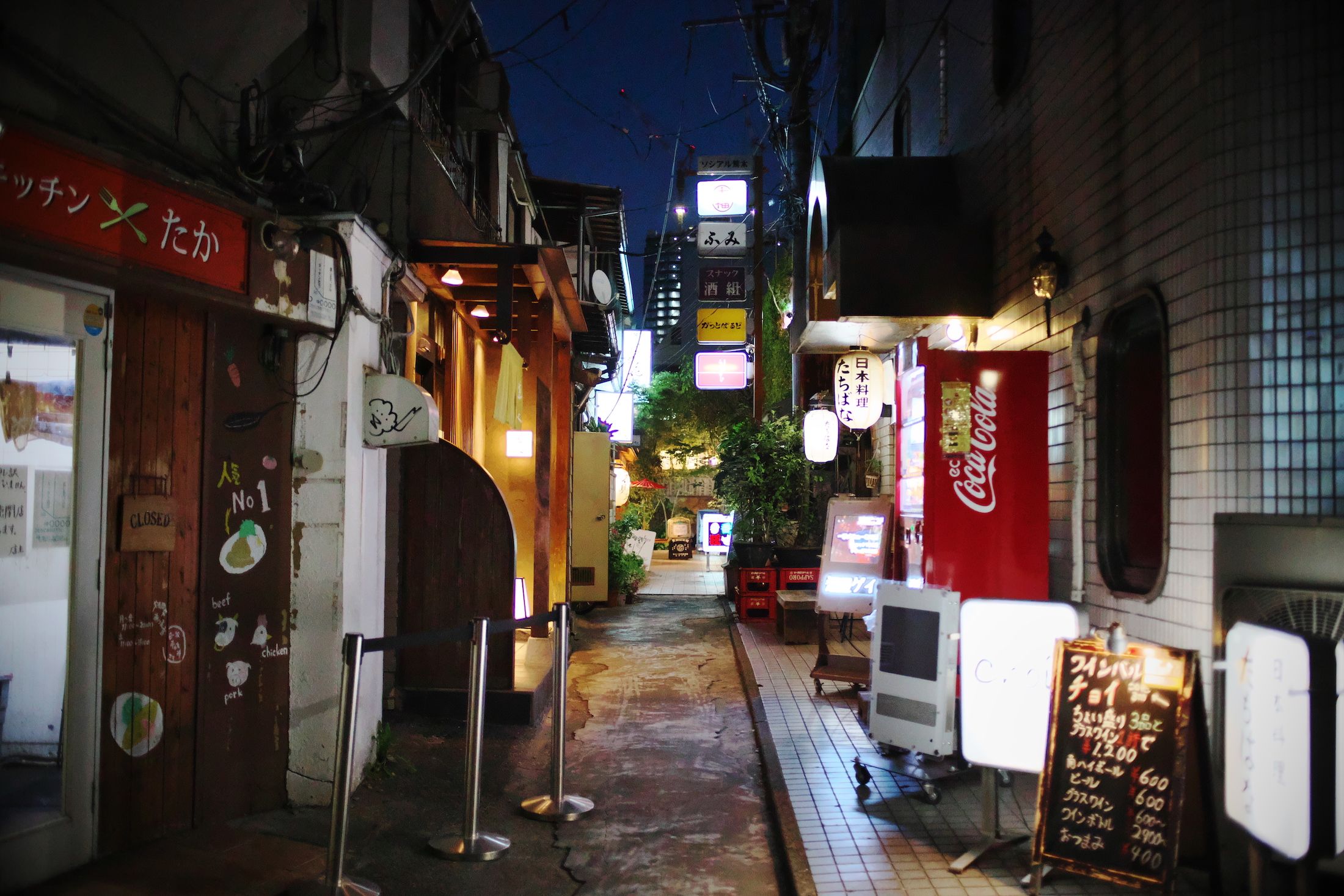 様々な飲み屋の看板が灯る路地。のんべえにはたまらない