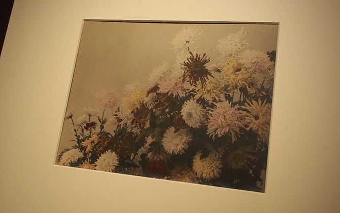 シャネル・ネクサス・ホール「荒木経惟×ギメ東洋美術館 Tombeau Tokyo」の展示